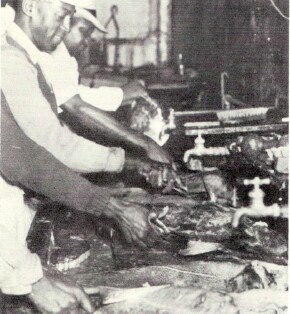 Fish cleaning production line at Goff's; Photo from The Delaware County Advocate, July 1942
