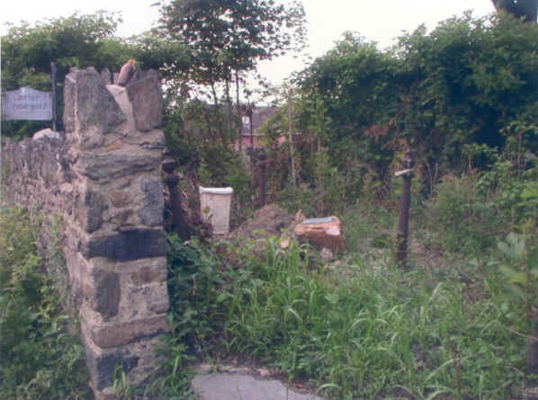 Carter Cemetery; Photo courtesy of Ben Jones