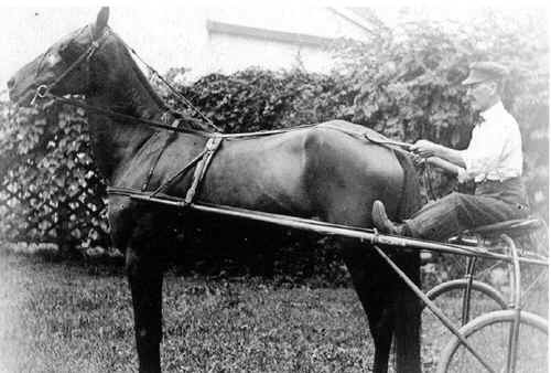 crystle_w_h_sr_with_horse.jpg (296964 bytes)