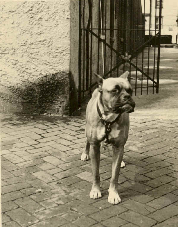 "Butch" - E. F. White Funeral Home; Photo courtesy of Michael Carr, Carr Funeral Home