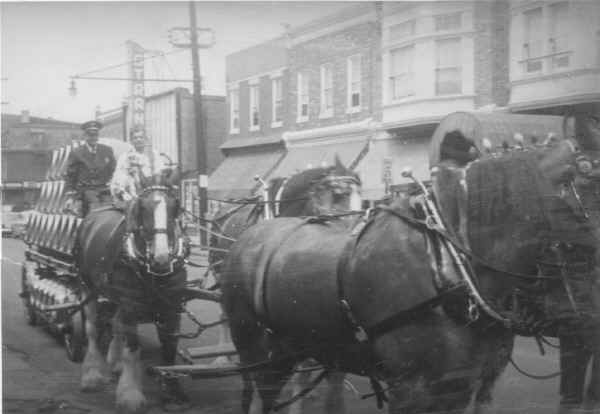 Budweiser Clydesdales in Chester; Photo courtesy of Jody (Mignogna) Pokoy