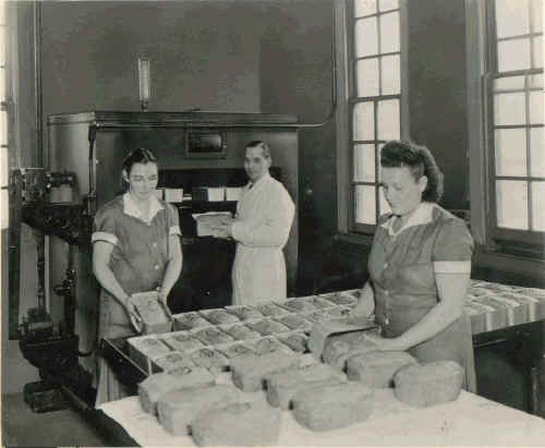 Chester Packing Company, later Medford's; Photo courtesy of Diane Trout in memory of her grandmother, Stella Owsiany Ayars Snyder